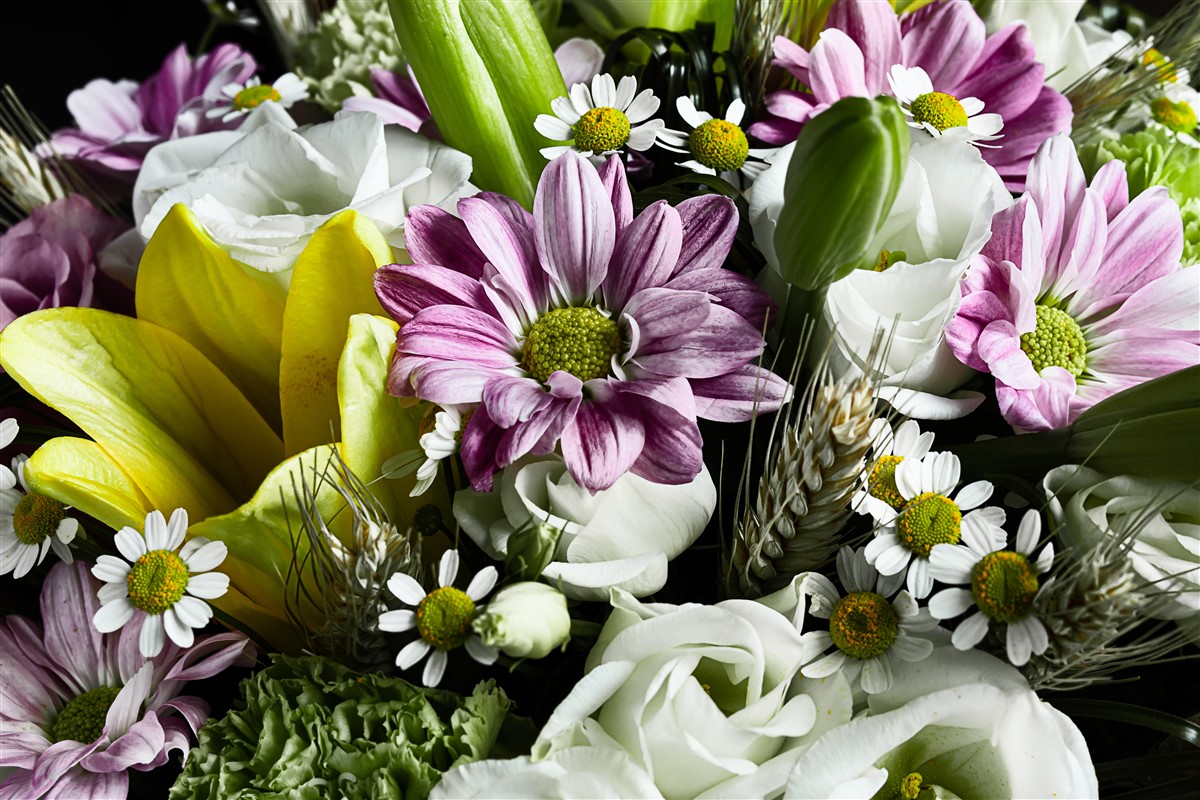 8 variétés florales spectaculaires