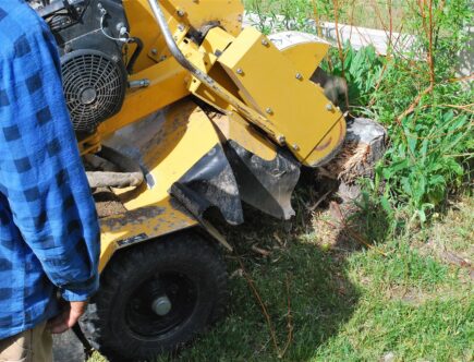 enlèvement de souches d'arbres